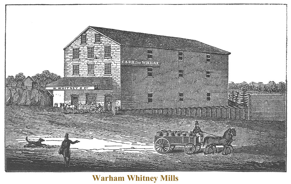 Warham Whitney Mills